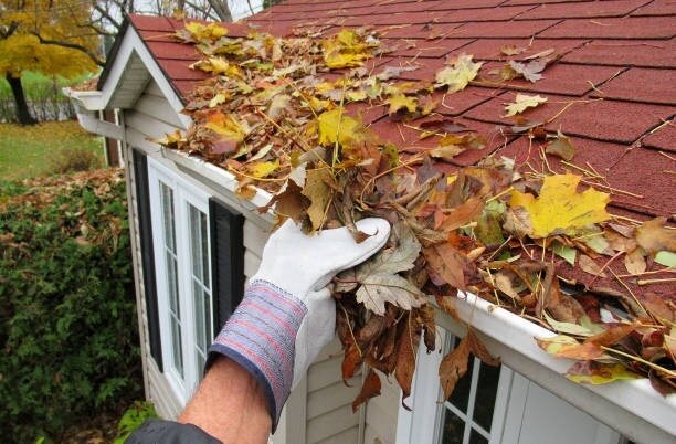 Gloved hand lifting wet autumn leaves out of a white gutter
